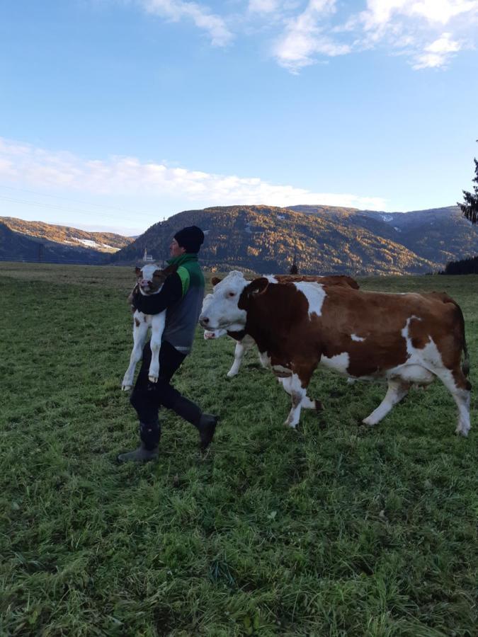Bio Bauernhof Schoberhof Villa Sankt Andrä im Lungau Eksteriør billede