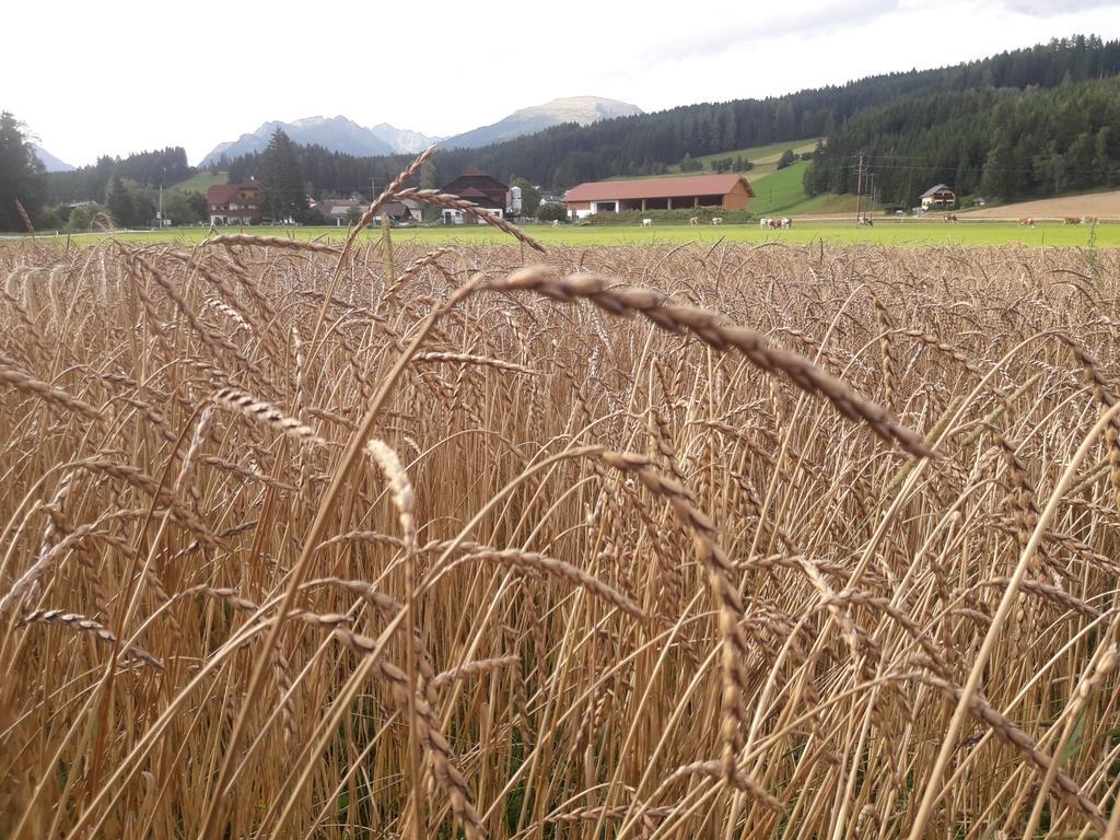 Bio Bauernhof Schoberhof Villa Sankt Andrä im Lungau Eksteriør billede